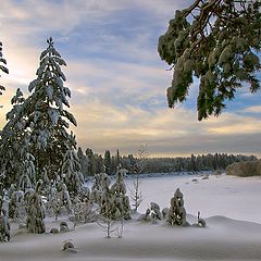 фото "Зимний вечер в лесу, на берегу реки"