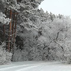 фото "Русская зима"