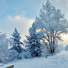 фото "По дороге"