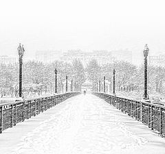 photo "Snowy Bridge"