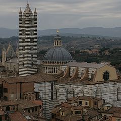 photo "Siena evening"