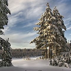 фото "Зима в лесу"