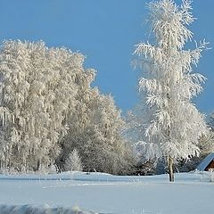 фото "Под голубыми небесами..."