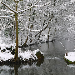 photo "First snow"