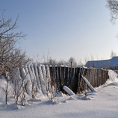 фото "Вчерашний снег"