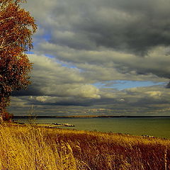 фото "Перед грозой..."