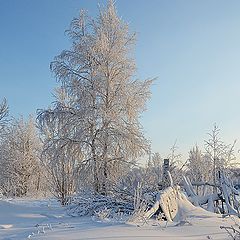 фото "На задворках"