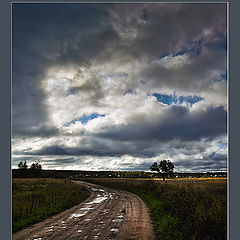 фото "Дачная дорога"