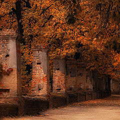 photo "Indian Summer"