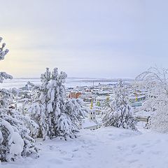 фото "Самарово"