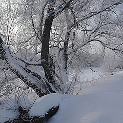 фото "У реки."