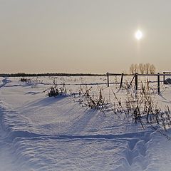 фото "Зимнее солнце"