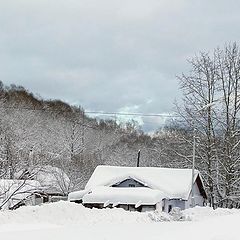 фото "Домик в Паратунке"