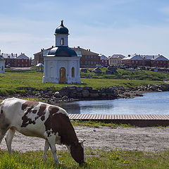 фото "на Соловках"