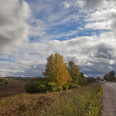 фото "Дорога в осень"