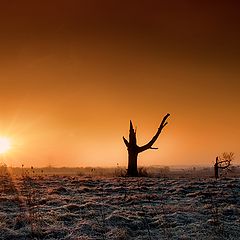 photo "Winter Sunrise"