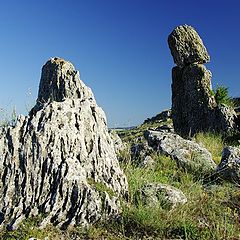 Фотоальбом "Поля,гори и планини ..."