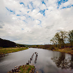 photo "Spring"