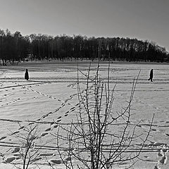 фото "разошлись пути-дорожки.."