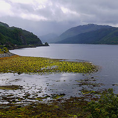 photo "Scotland"