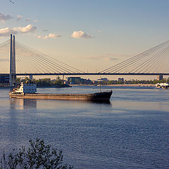 photo "Сable-stayed bridge"