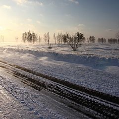 фото "Позёмка"