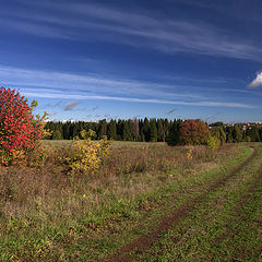 photo "***"