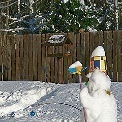 photo "Snowy scarecrow for Jays"