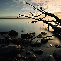 фото "На берегу море..."