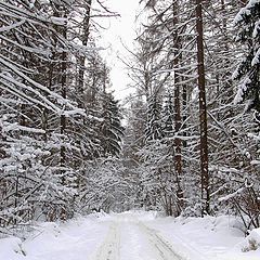 фото "Зимние зарисовки."