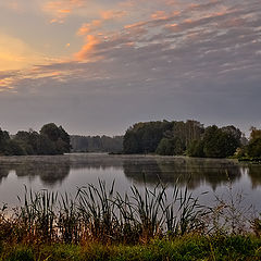 фото "Утром"