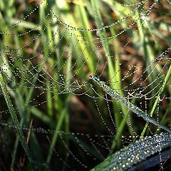 photo "diamond chain"