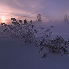 фотоальбом "Пейзажи"