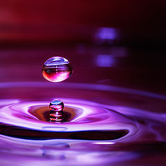 photo "Just a drop of water"