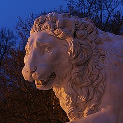 photo "Lion"