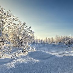 фото "Солнечным днём"