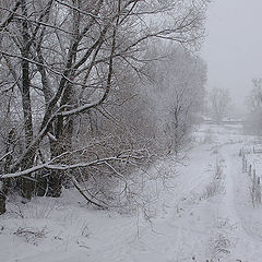 фото "Снегопад."