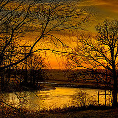 photo "***"