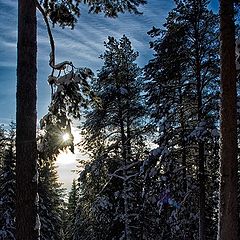 фото "Нижний Тагил"