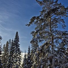 фото "Нижний Тагил"