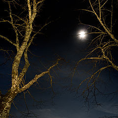 фото "San Galgano moonlight"