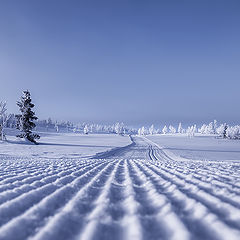 photo "The mountain highway."