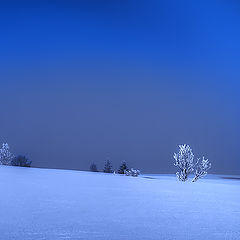 photo "Only Blue."
