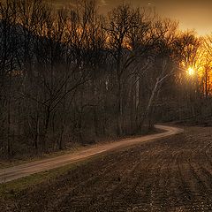 photo "Solitary Lane"
