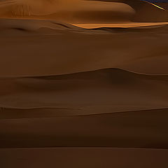 фото "Dunes 06"