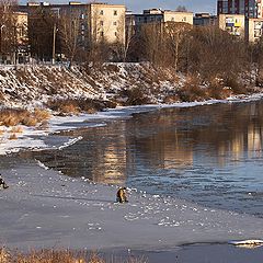 фото "Воскресное утро"