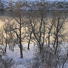 фото "Зимняя графика"