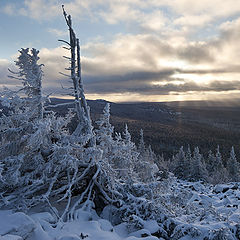 фото "0205_0063"