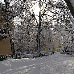 фото "Снег в городе."