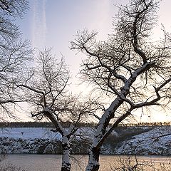 фото "Зимняя графика 2"